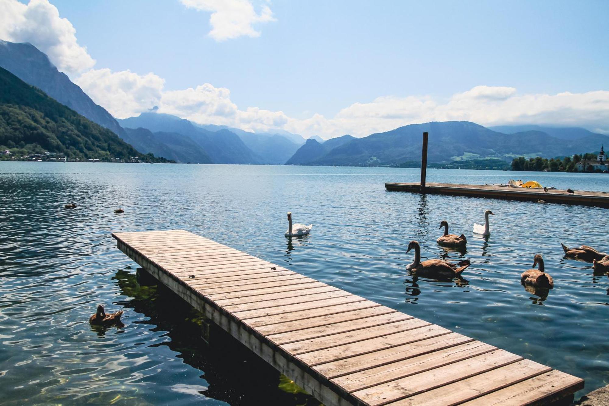 Appartement Austria 206 Am Traunsee, *